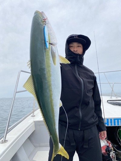 ハマチ(ブリ)