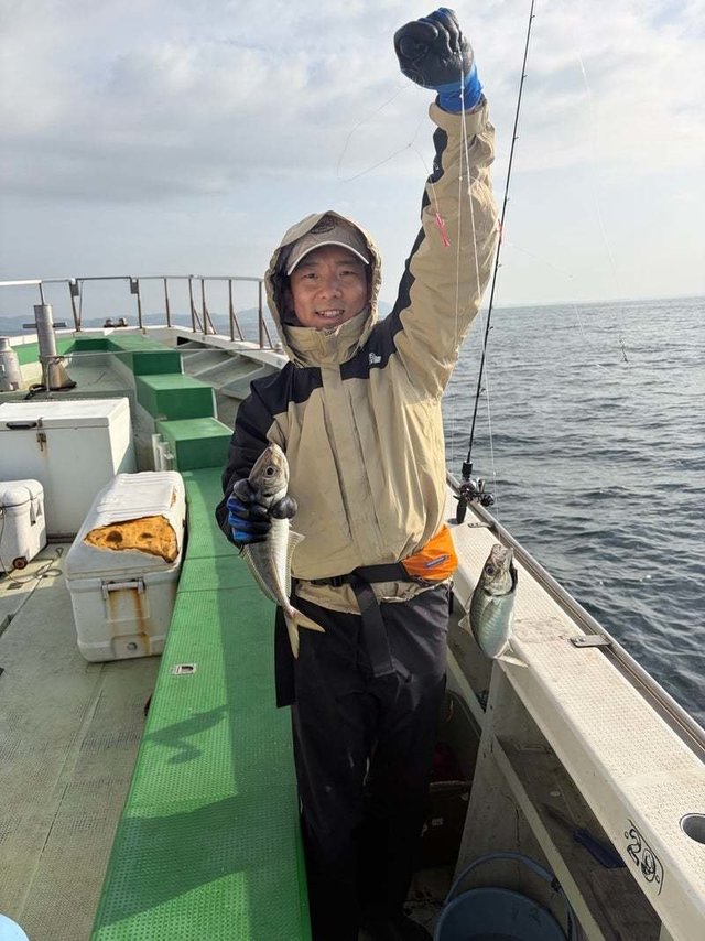 アジ(マアジ)