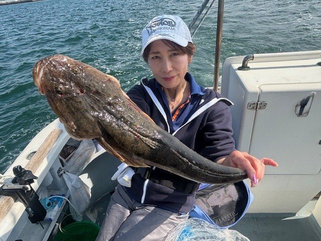 マゴチ
