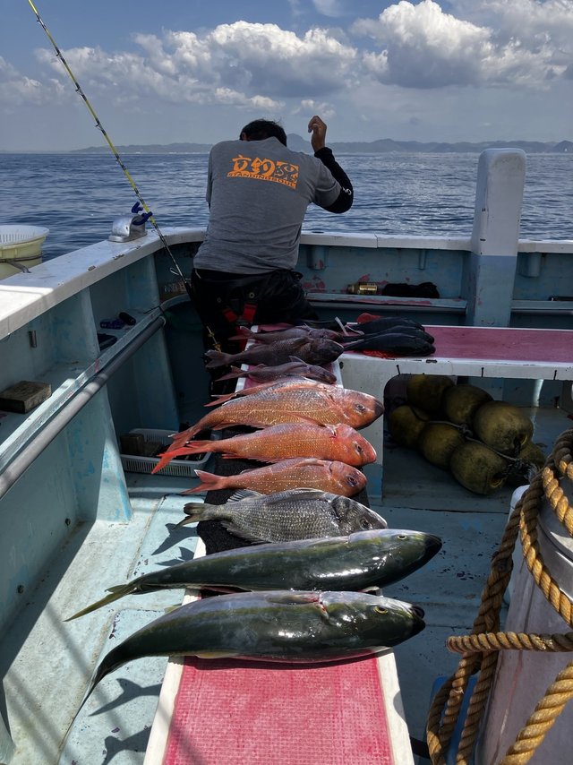 マダイ・イナダ(ブリ)