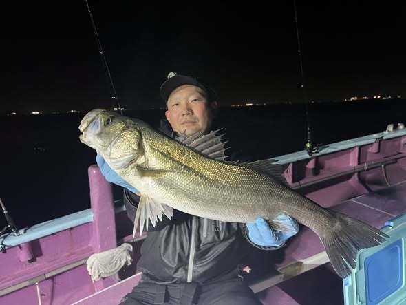 シーバス(スズキ)