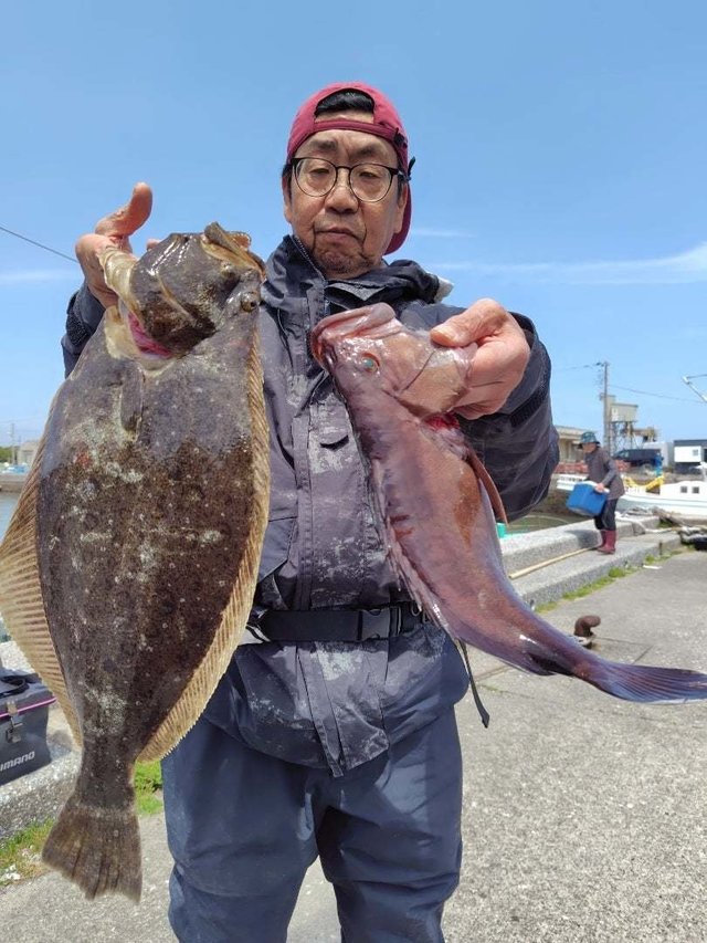 マハタ・ヒラメ