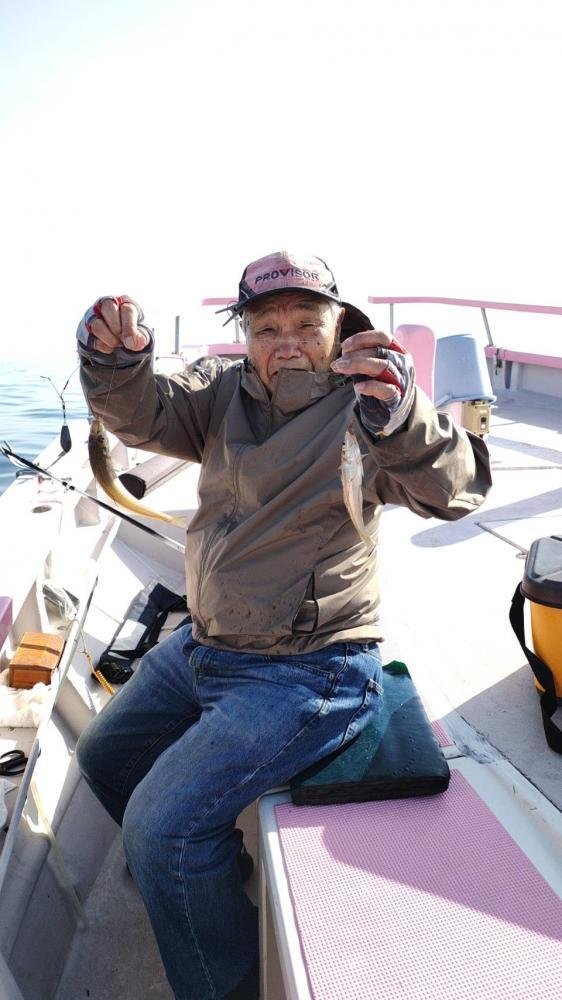 キス(シロギス)