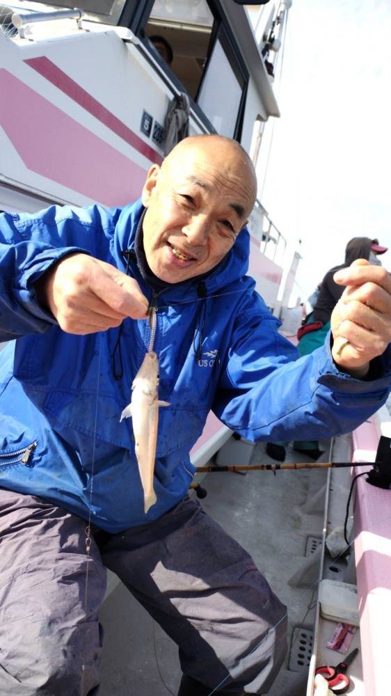 キス(シロギス)