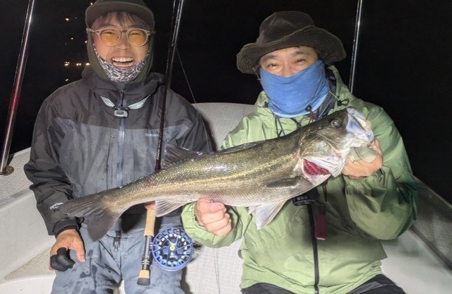 シーバス(スズキ)