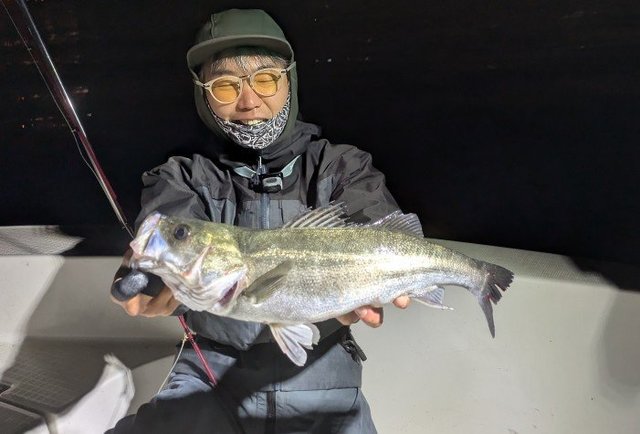 シーバス(スズキ)