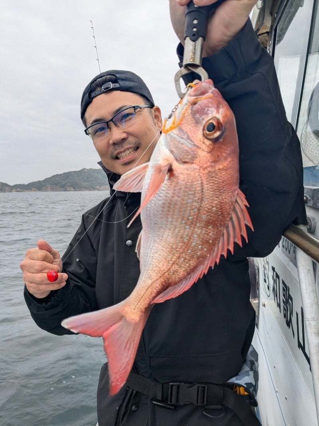 マダイ
