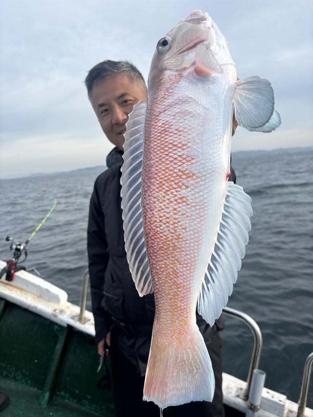 シロアマダイ