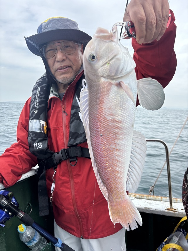 シロアマダイ