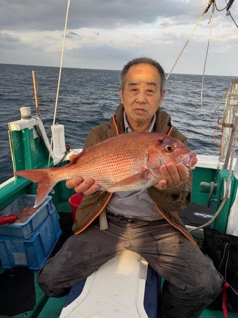 マダイ