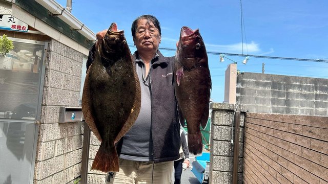 マハタ・ヒラメ