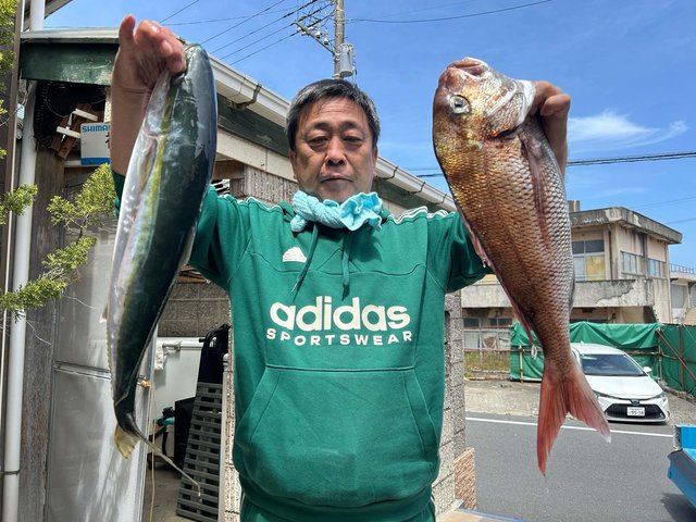 マダイ・ハナジロ(ブリ)