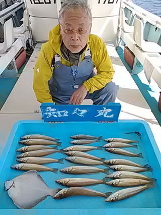 キス(シロギス)・カレイ(マコガレイ)