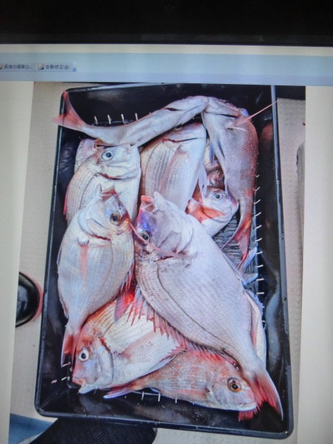 マダイ・チダイ