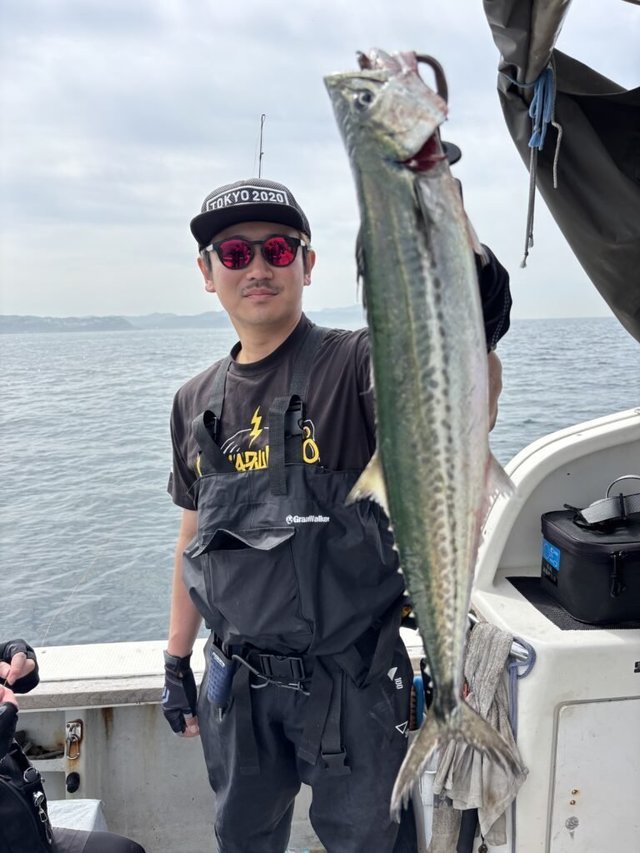 サゴシ(サワラ)