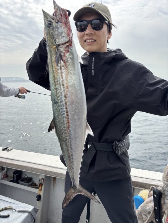 サゴシ(サワラ)