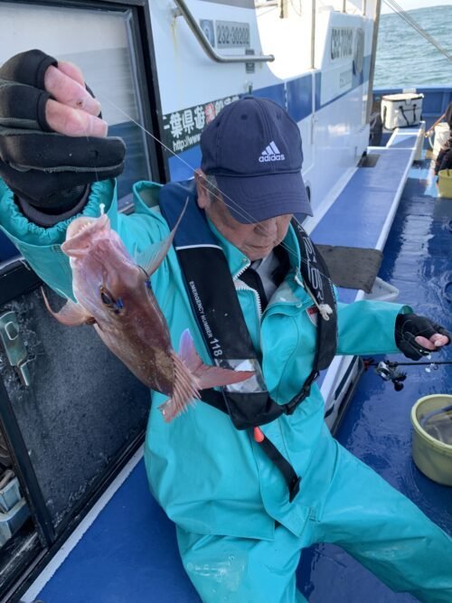 ウマヅラ(ウマヅラハギ)