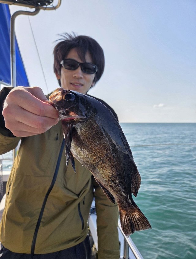 クロメバル(メバル)