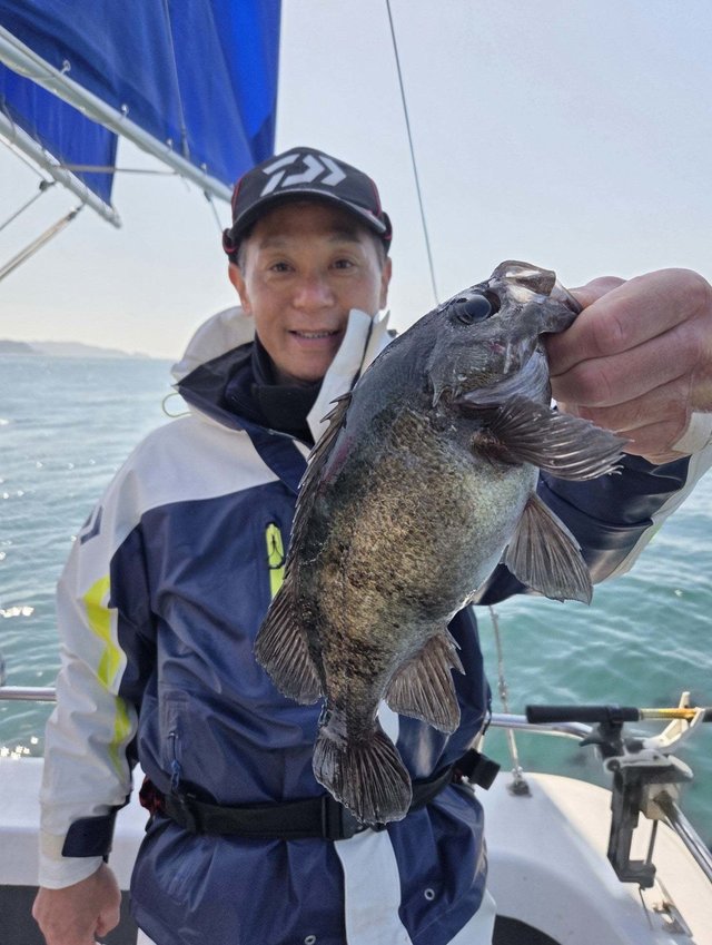 クロメバル(メバル)