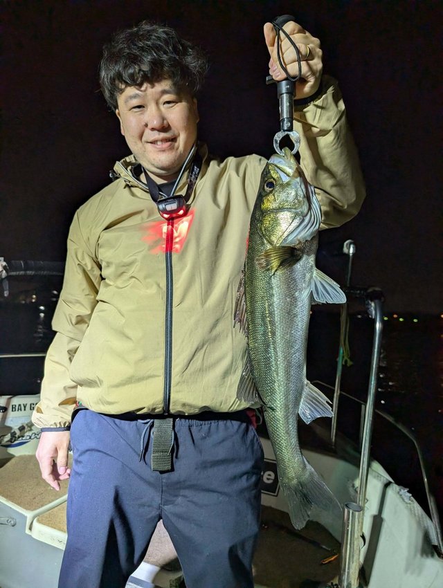 シーバス(スズキ)