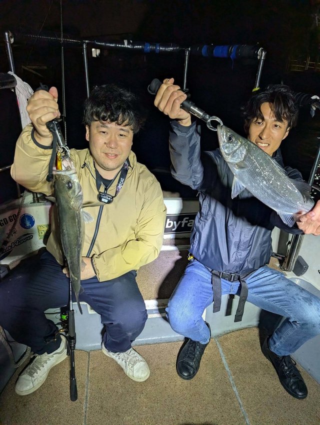 シーバス(スズキ)