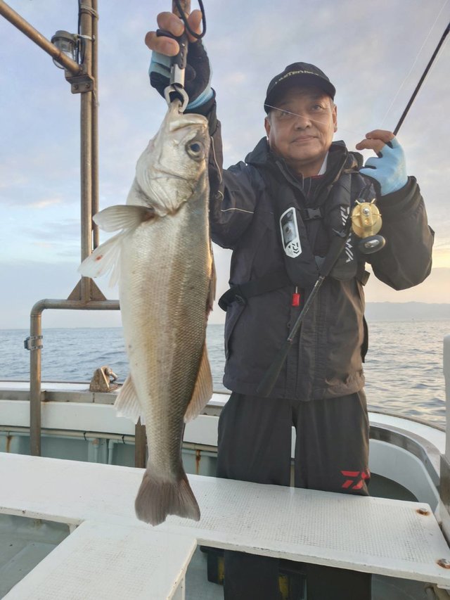 シーバス(スズキ)