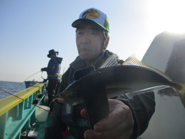 アジ(マアジ)