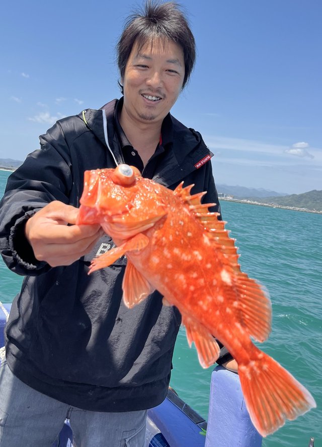 ウッカリカサゴ