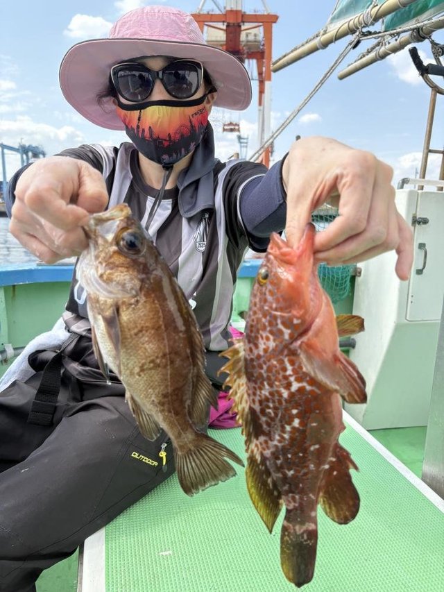 カサゴ・メバル