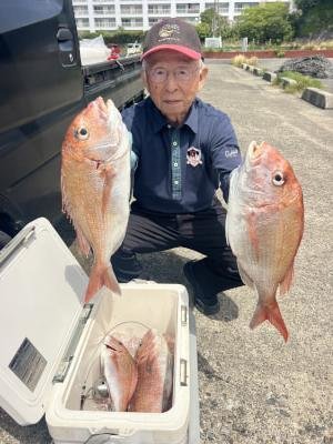 マダイ