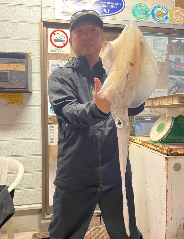 アオリイカ