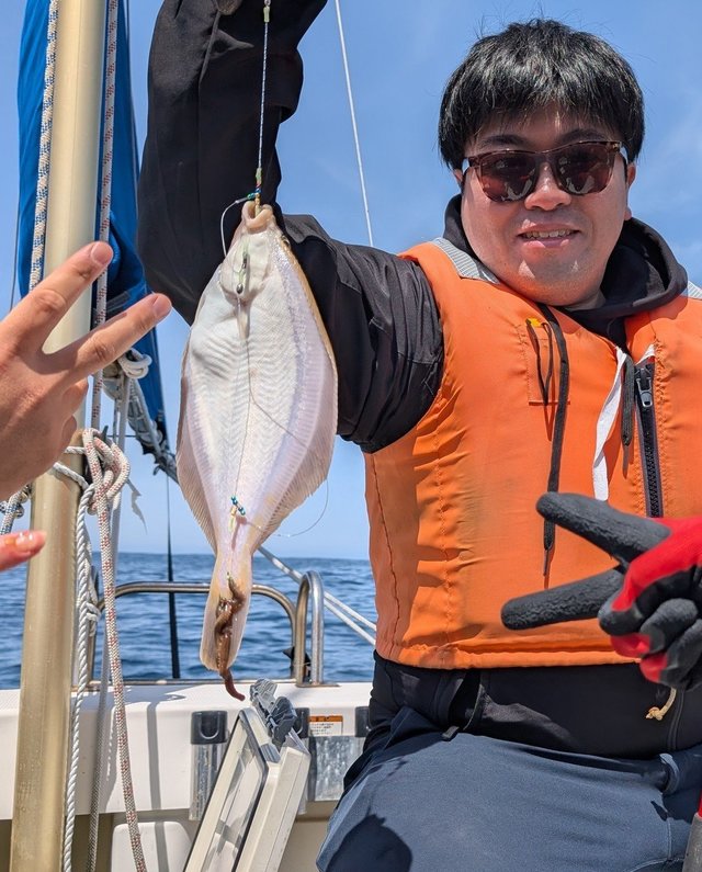 カレイ(マコガレイ)