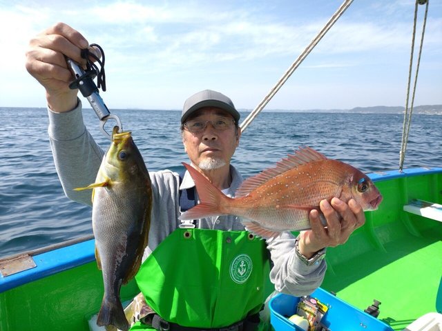 マダイ・イサキ