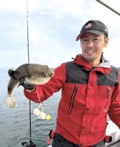 ショウサイフグ