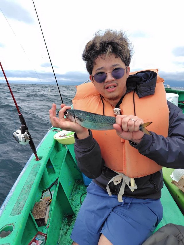 サバ(ゴマサバ)