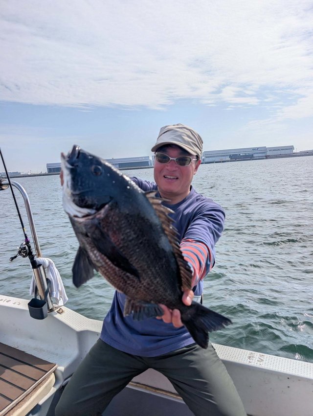 チヌ(クロダイ)