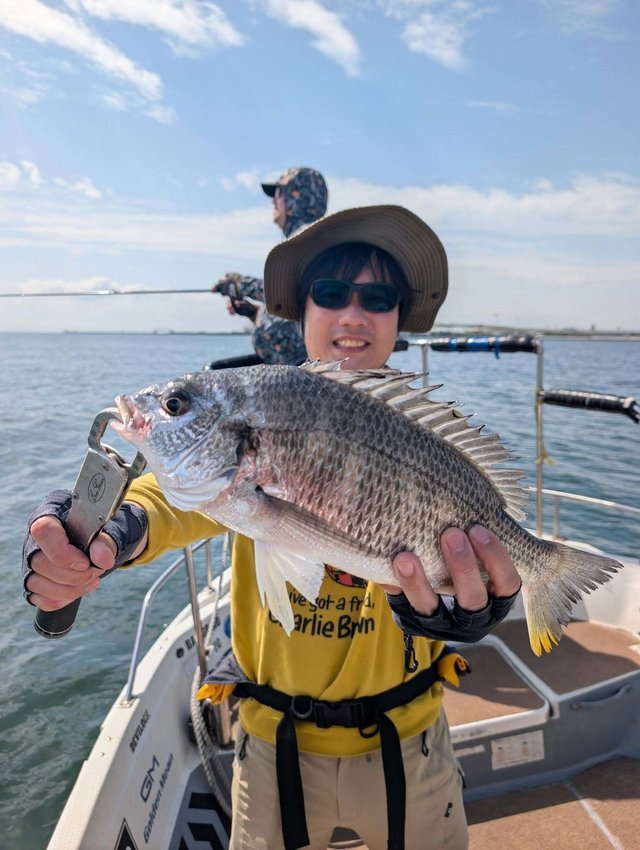 キビレ(キチヌ)