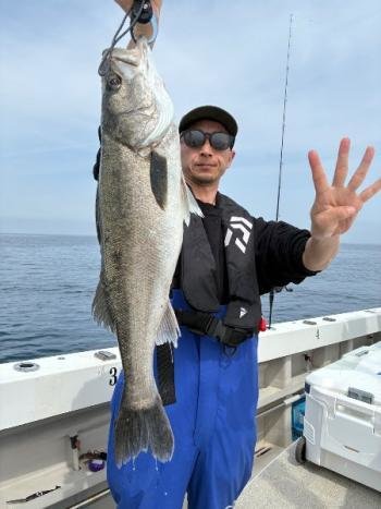 シーバス(スズキ)