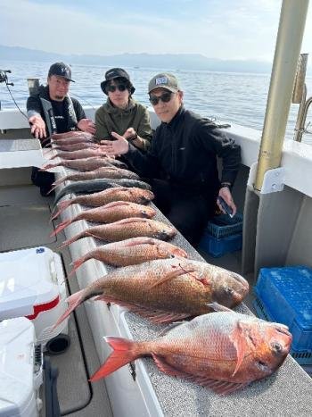 マダイ・シーバス(スズキ)