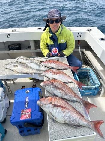 マダイ・シーバス(スズキ)