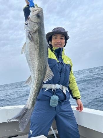 シーバス(スズキ)