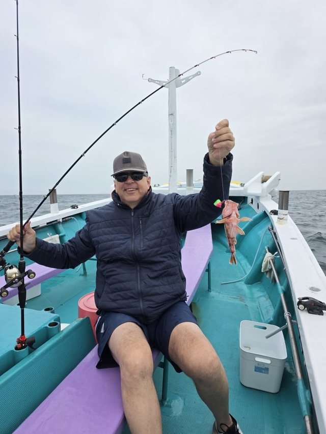 ガシラ(カサゴ)