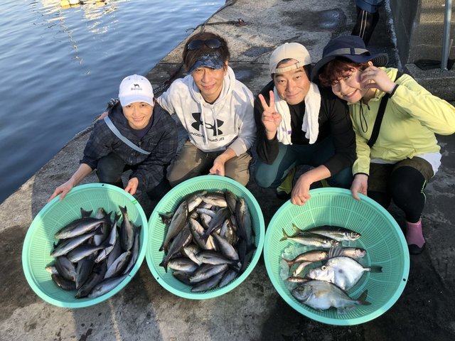 アジ(マアジ)・カイワリ・イサキ