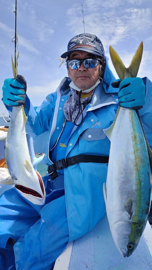 サンパク(ブリ)