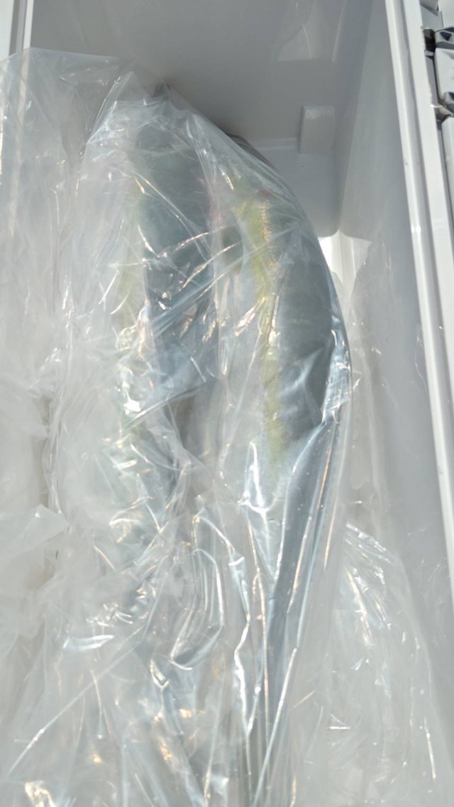 サンパク(ブリ)