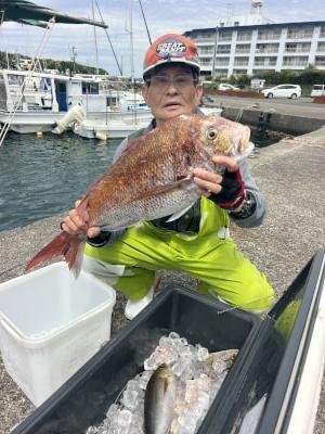 マダイ