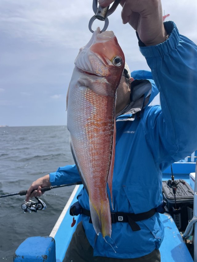 アマダイ(アカアマダイ)