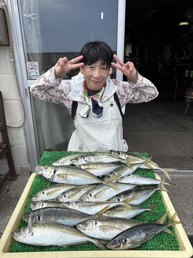 アジ(マアジ)