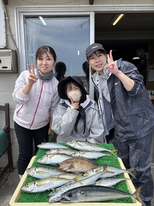 アジ(マアジ)