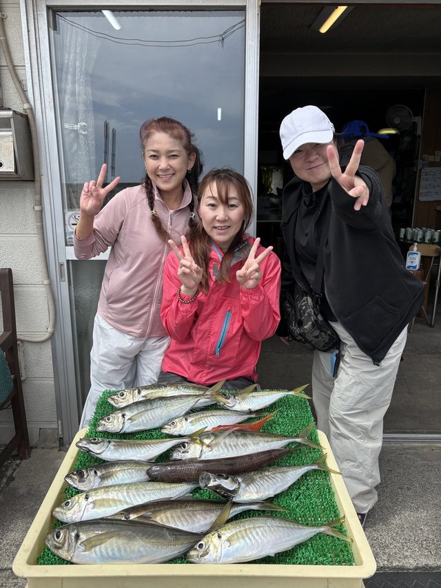 アジ(マアジ)